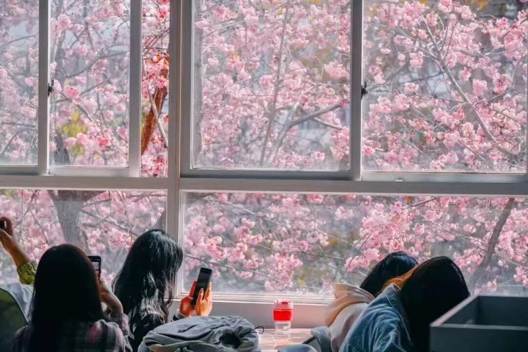 排名揭晓！美加墨世界杯官方网站全国10强‼️ 第 15 张